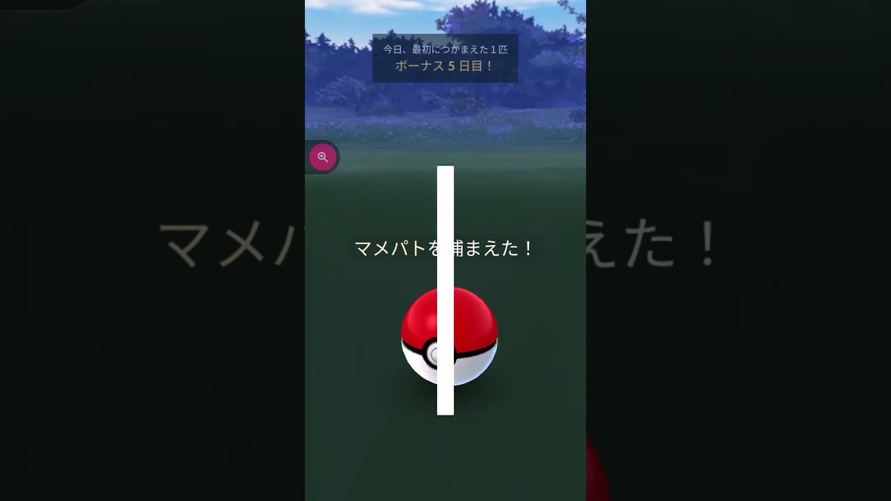 #shorts◇地味すぎる色違いマメパト【Pokémon GO】#259