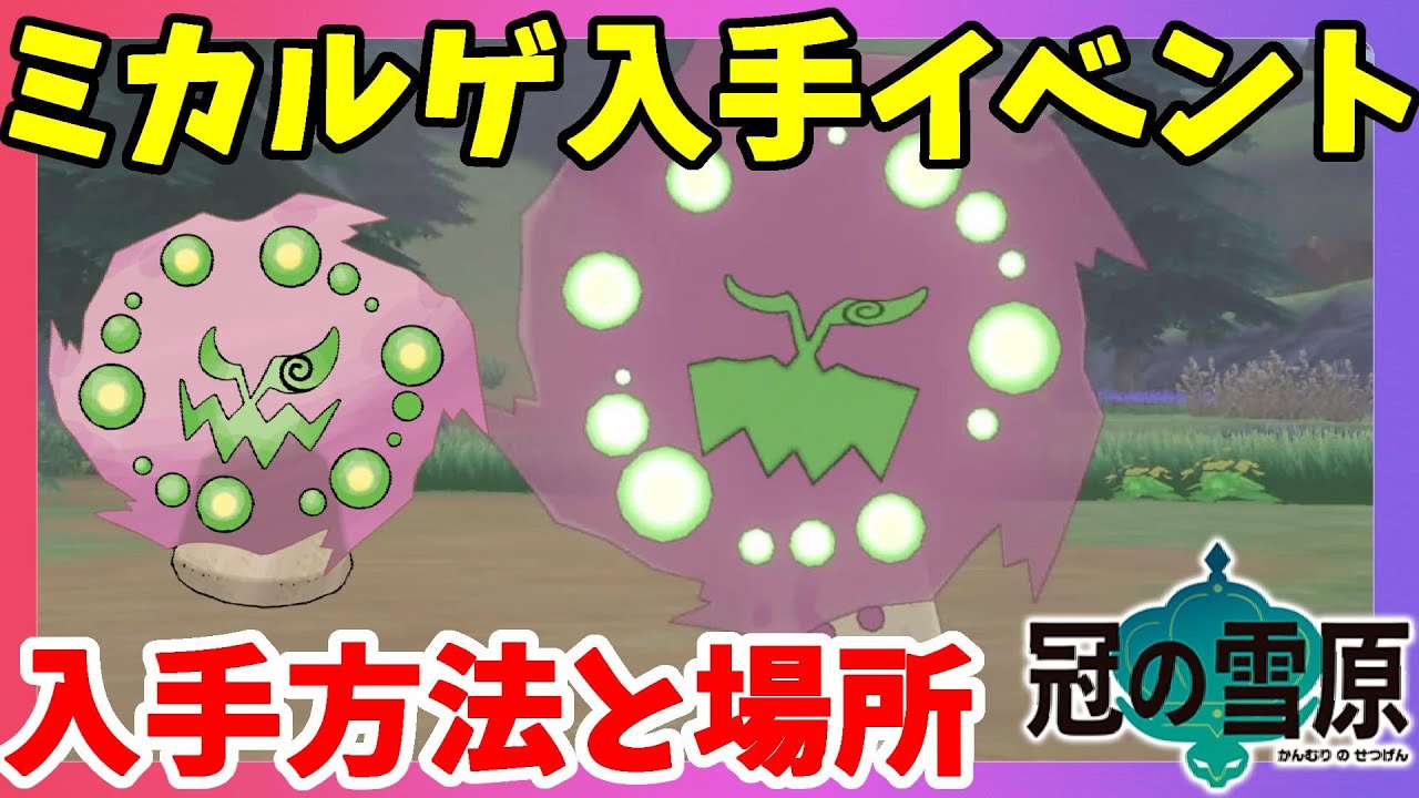 【ポケモンソードシールド】ミカルゲ出現イベントが面白い！ゴーストタイプのでもみねうちで簡単捕獲！出現方法と場所！冠の雪原【エキスパンションパス】