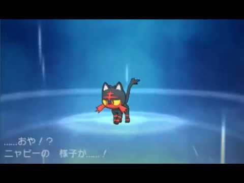 ポケットモンスターサンムーン ニャビー進化【ニャヒート】