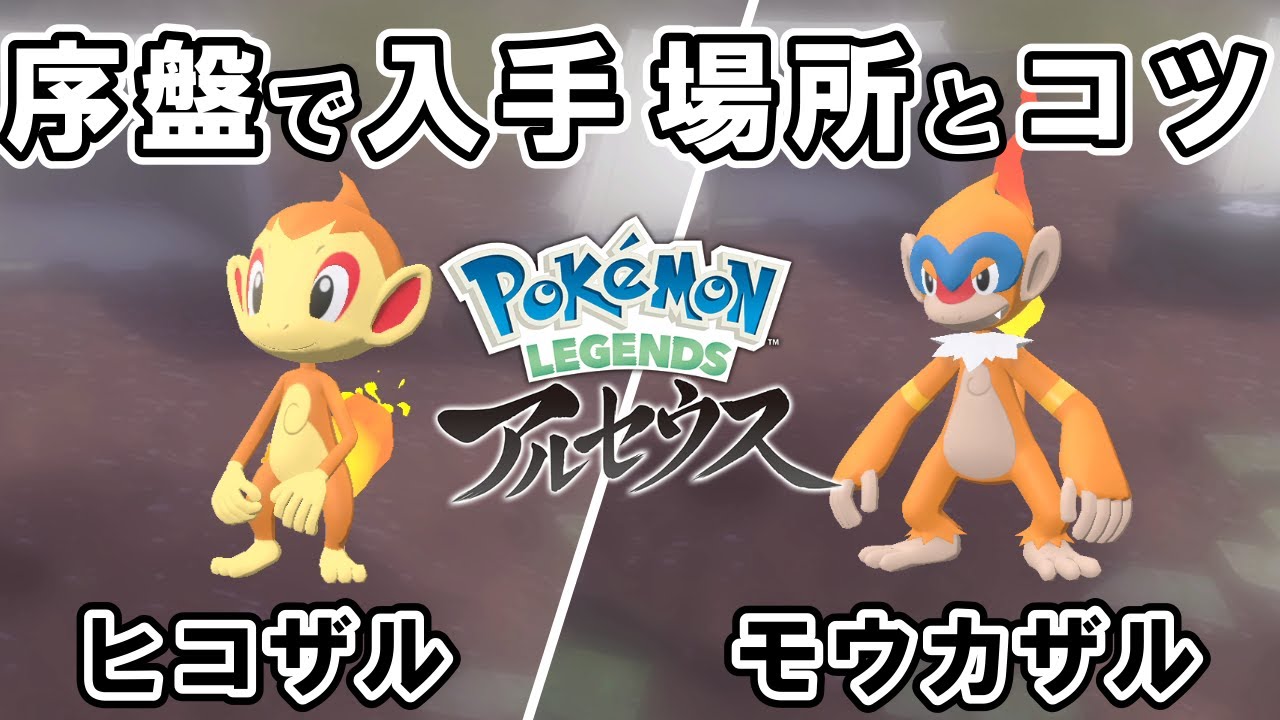 【場所とコツ】ヒコザル/モウカザルの捕まえ方・入手方法【ポケモンレジェンズアルセウス】