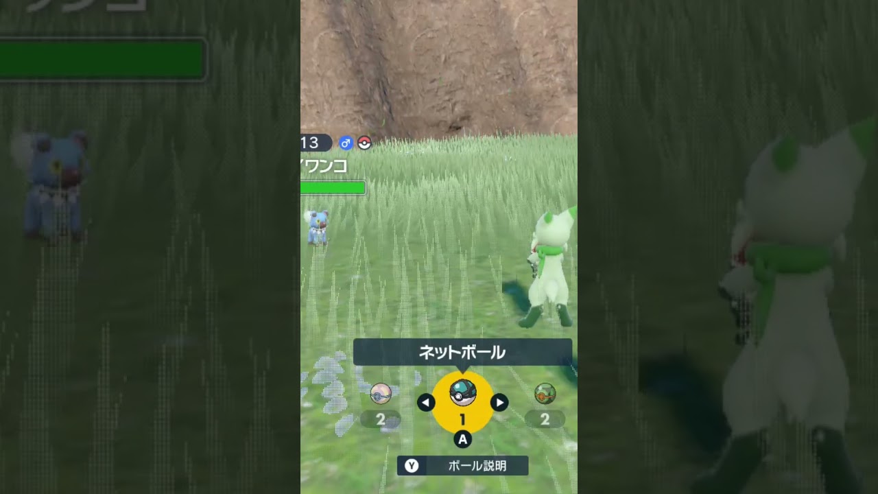 色違いイワンコ ゲットー！#ポケモンsv #色違いポケモン#バイオレット