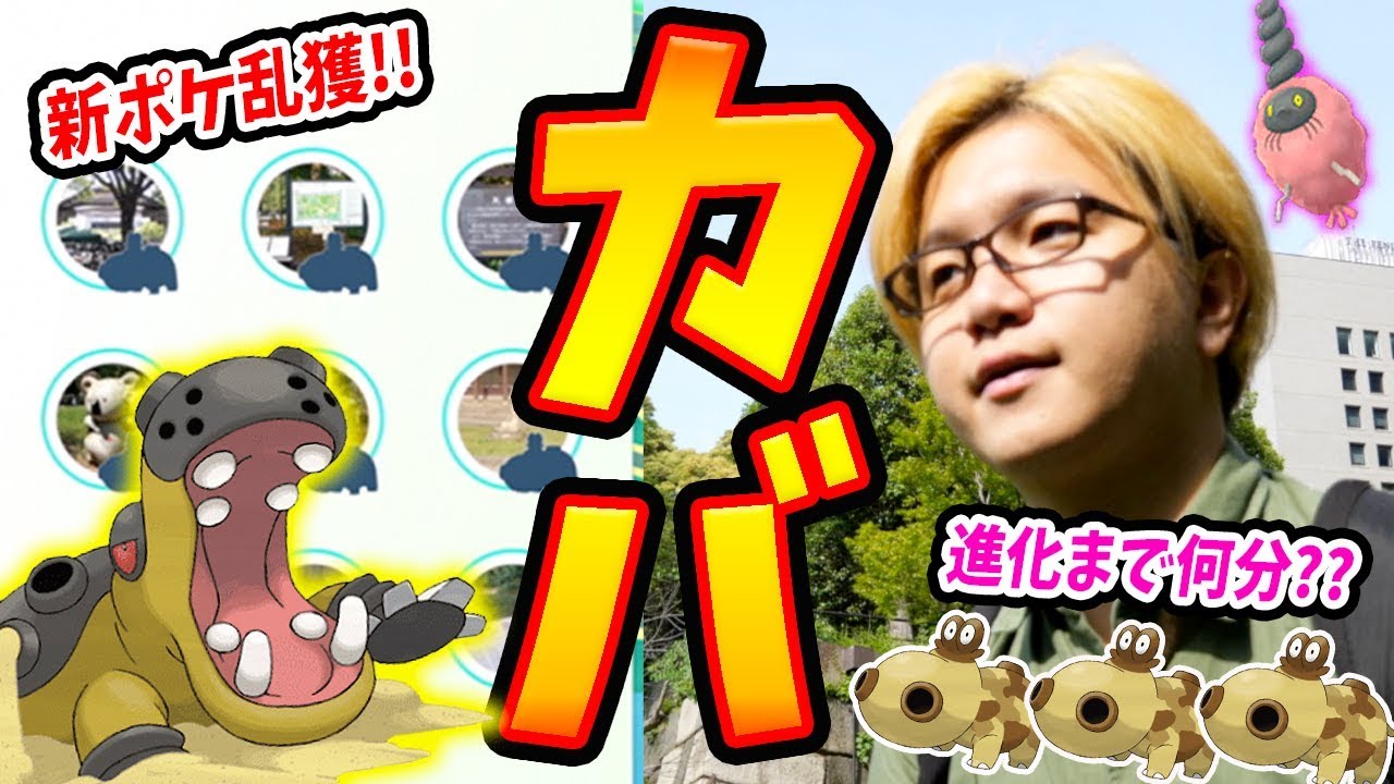目指せカバルドン！ヒポポタスの巣で全力飴集めじゃー!【ポケモンGO】