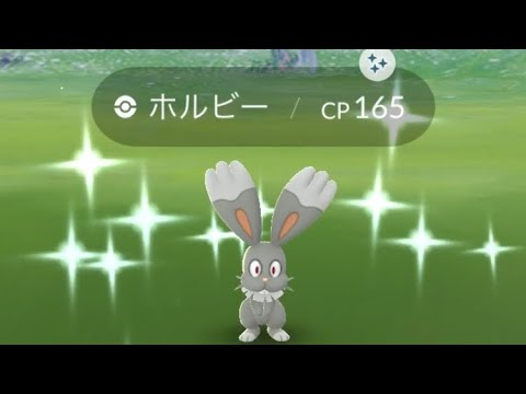 ポケモンGO  ホルビー色違い