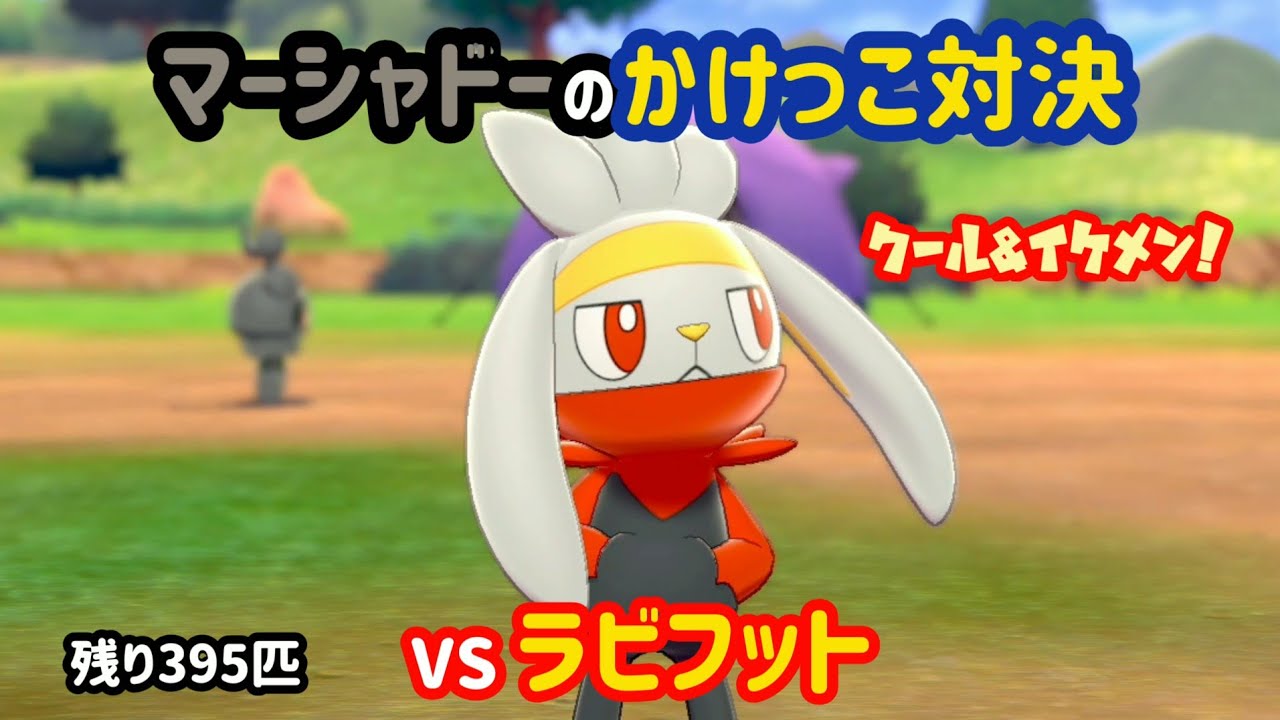 VSラビフット ガラル図鑑No.5【マーシャドーのかけっこ対決】