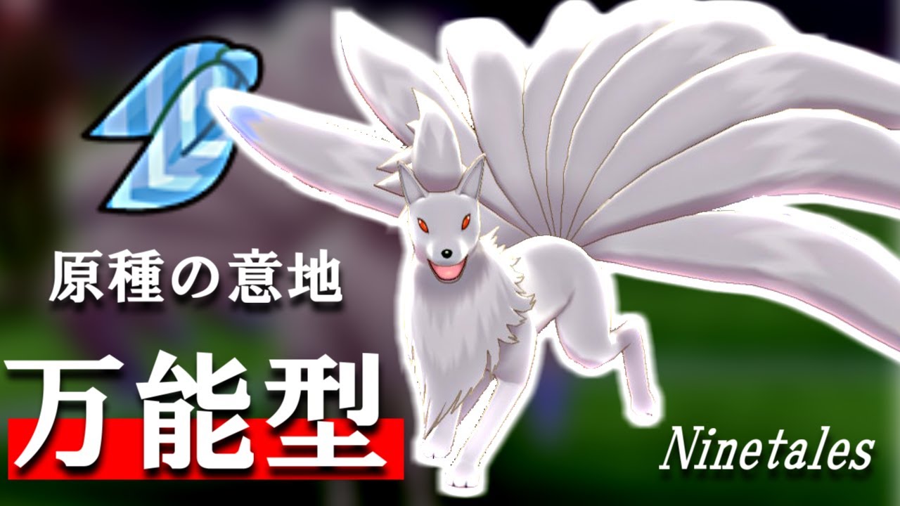 アローラに負けるな！超万能型原種キュウコン【ポケモン剣盾】