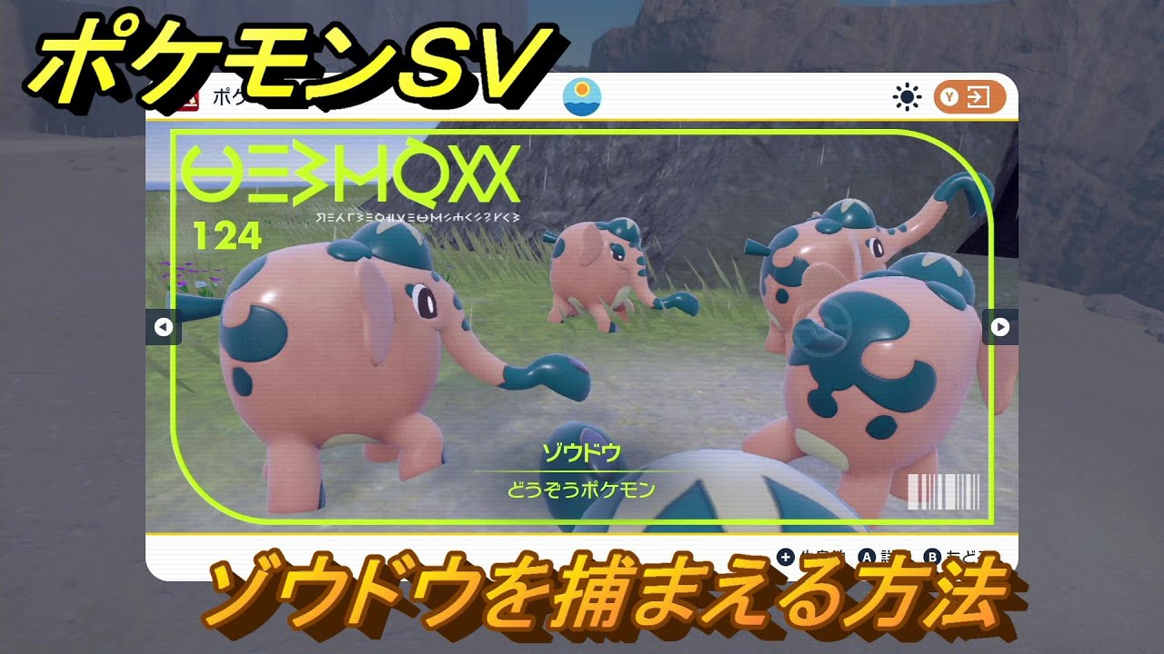 ポケモンＳＶ　ゾウドウを捕まえる方法！出現場所は？図鑑No.１２４　ポケモン図鑑を埋めよう！　【スカーレット・バイオレット】
