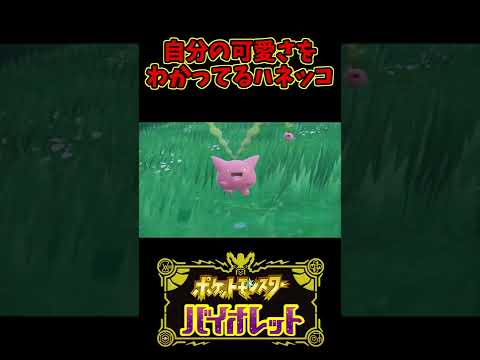 【ポケモンSV】世界一可愛いハネッコ見つかる【バイオレット】