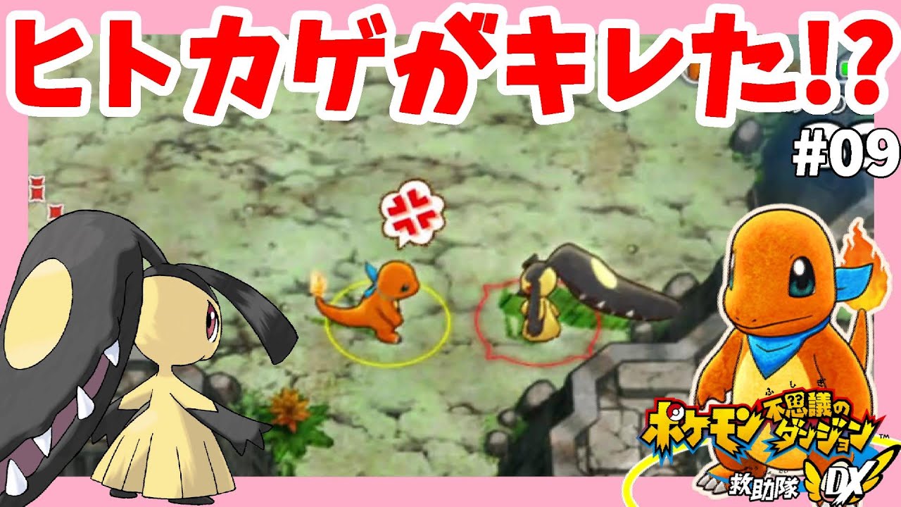 マクノシタ訓練所が予想以上にすごかった！あの道具ももらえる！#9【ポケモン不思議のダンジョン救助隊DX】