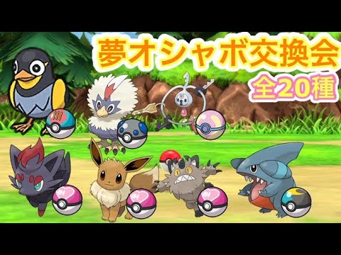 【ポケモンSV】５V夢特性配布会‼今回はゾロア&クレッフィがおすすめ‼夢特性集め中