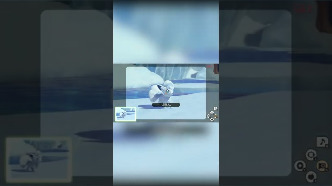 【Newポケモンスナップ NEW POKÉMON SNAP】アローラロコンのおしとやかな挨拶 #shorts