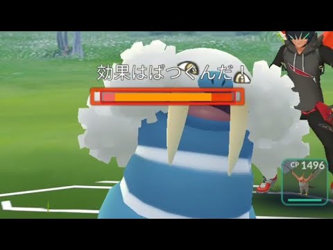 新実装！PL50のヌイコグマの実力はいかに…！？#ポケモンGO #pokemongo #shorts
