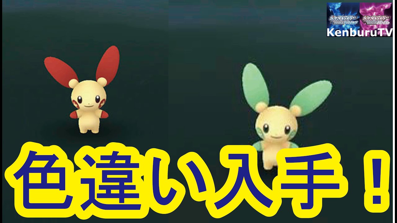 【＃ポケモンシャイニングパール】プラスルマイナン色違いをポケトレ連鎖なるかライブ配信！時間があれば地下洞窟も！