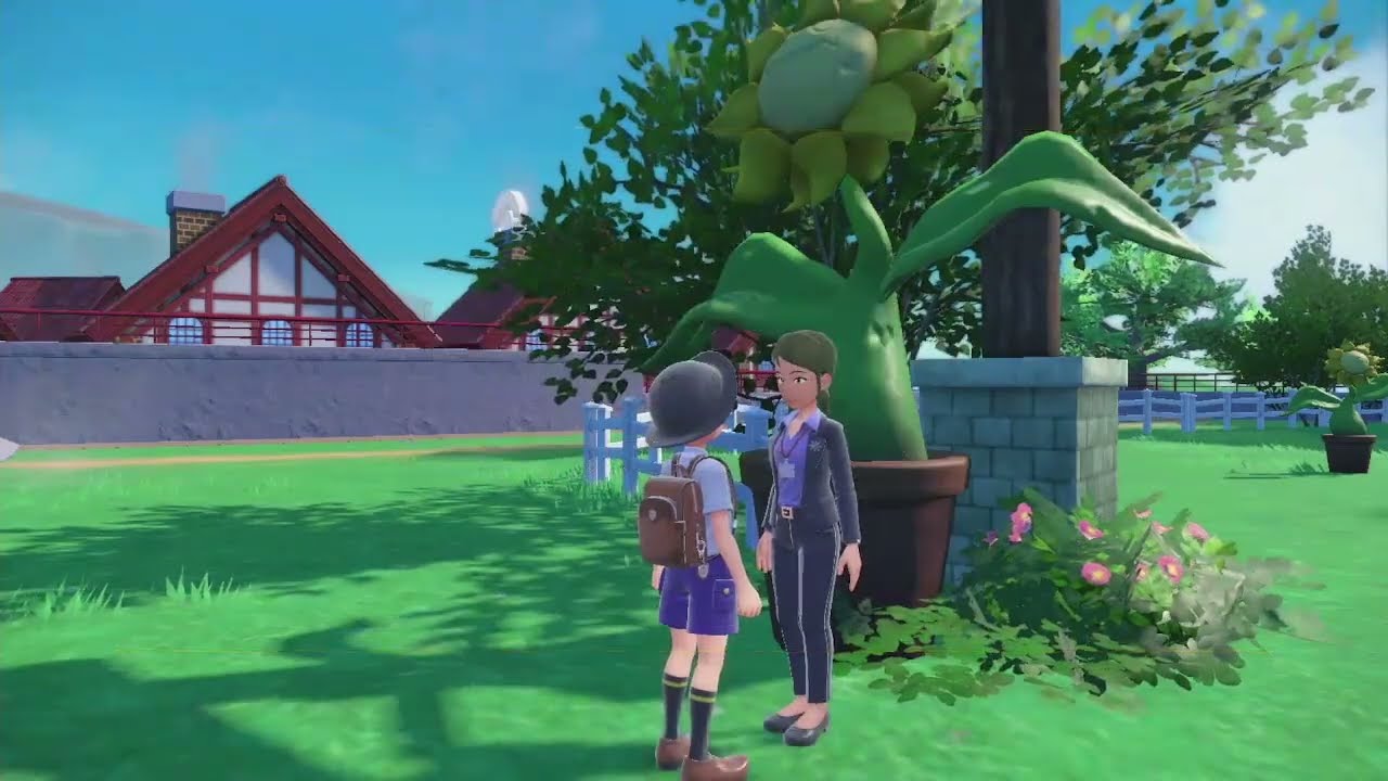 キマワリ集めの方法　ポケモンSV