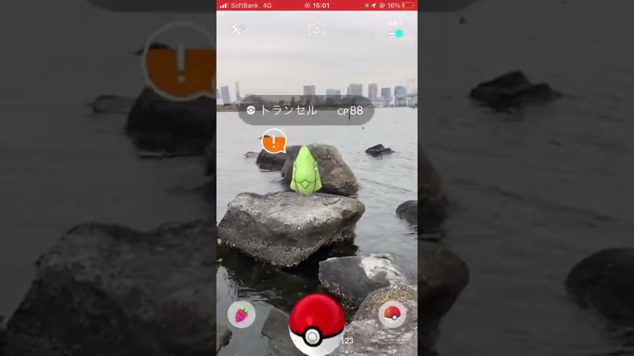世界一危険な状況のトランセルを保護してきたw【ポケモンGO】
