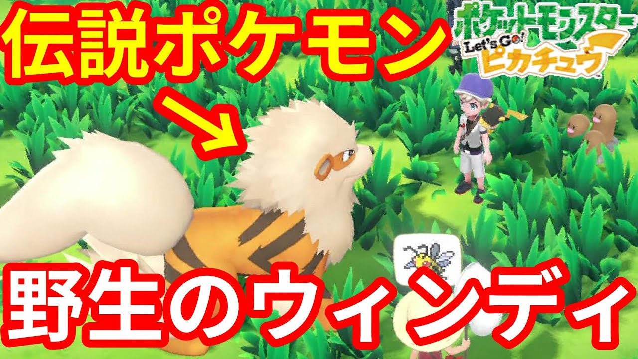 野生のウィンディ！ガーディ連鎖でウィンディすぐゲットできるでしょ！って思ったのに【ポケモンLet'sGO！ピカチュウ】