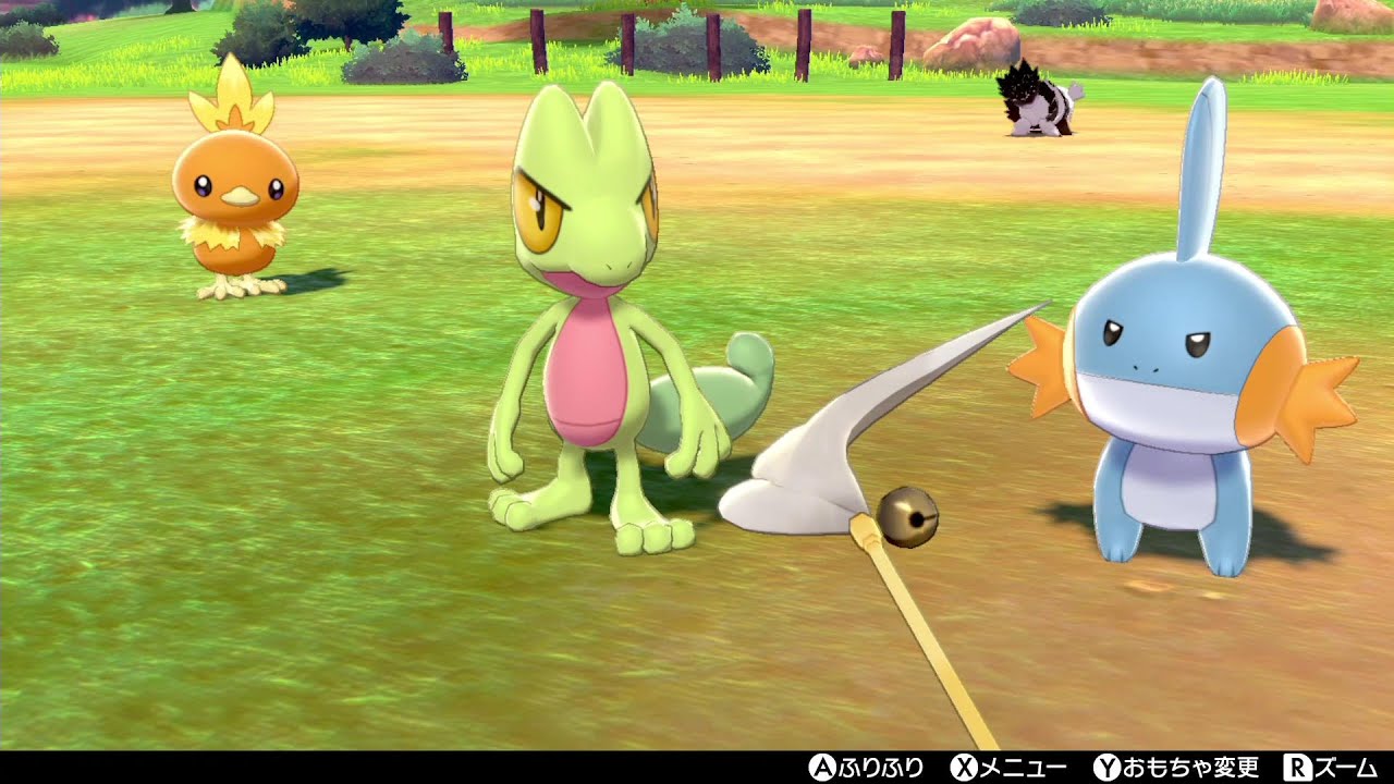 冠の雪原配信！ホウエン御三家 キモリ・アチャモ・ミズゴロウとポケモンキャンプで戯れます【ポケモン剣盾/ソードシールド/　冠の雪原】