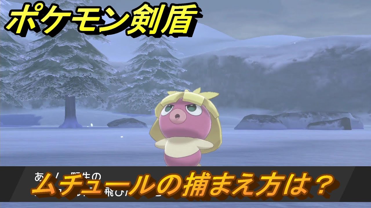 ポケモン剣盾　ムチュールを捕まえる方法！オススメの場所は？天気は？ポケモン図鑑コンプへの道！　最新版【ポケモンソード・シールド】