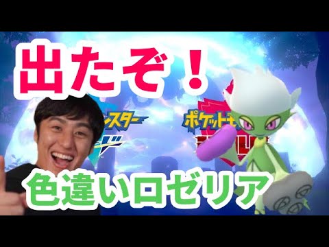 【ポケモン剣盾】色違いロゼリア出ました！！【シロナ色違いパーティ完成】