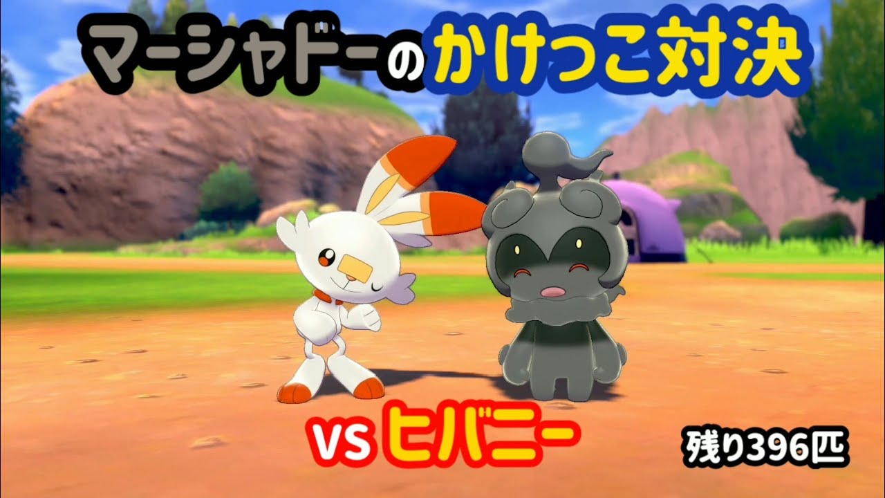 VSヒバニー ガラル図鑑No.4【マーシャドーのかけっこ対決】