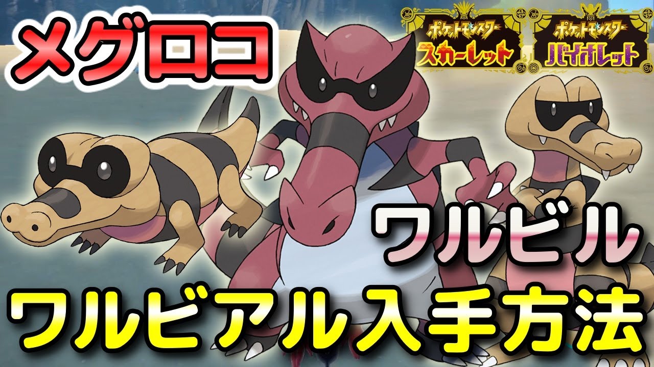 【ポケモンSV】メグロコ・ワルビル・ワルビアルの入手方法・出現場所！進化条件も解説します！【スカーレット・バイオレット】