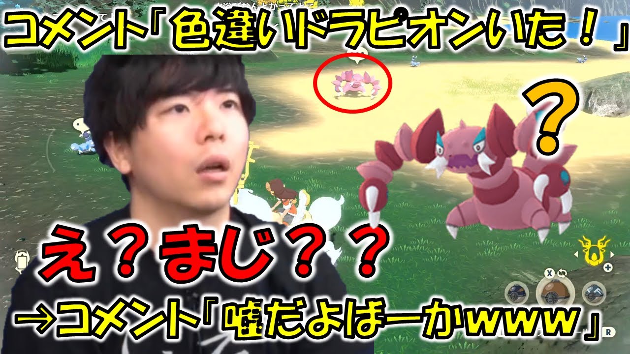 【アルセウス】色違いドラピオン出現コメントに騙され酷い仕打ちにあうもこう【2022/1/30】