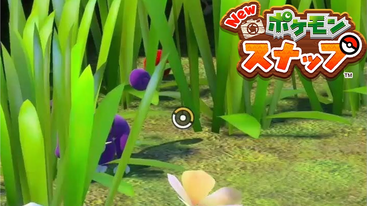 【コラッタ】暗いところが好き リクエスト 攻略 【New ポケモンスナップ ニンテンドースイッチ】