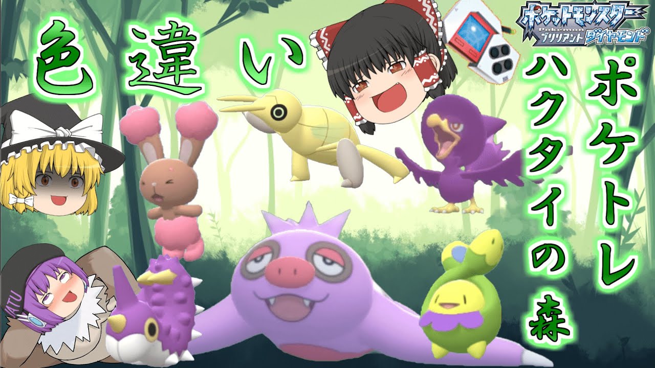 【ポケモンBDSP】ナマケロが大量発生したからついでにハクタイの森の色違いポケトレで全部ゲットしちゃお♡【ゆっくり実況】
