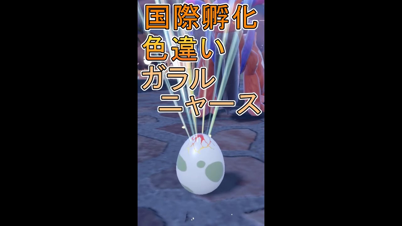 【ポケモンSV】色違いガラルニャース・・・産まれる！！ #shorts