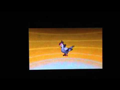 ポケモンBW マメパト進化