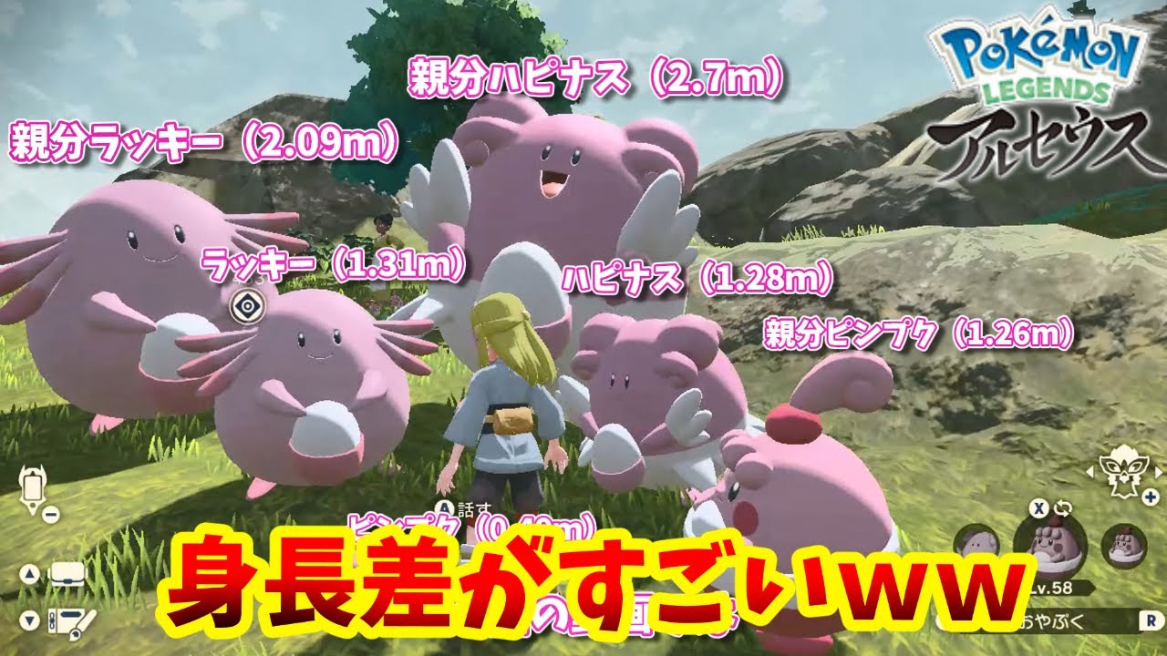 【レジェンズアルセウス】ラッキー,ハピナス,ピンプクたちを身体測定してみたら差がすごすぎたｗ