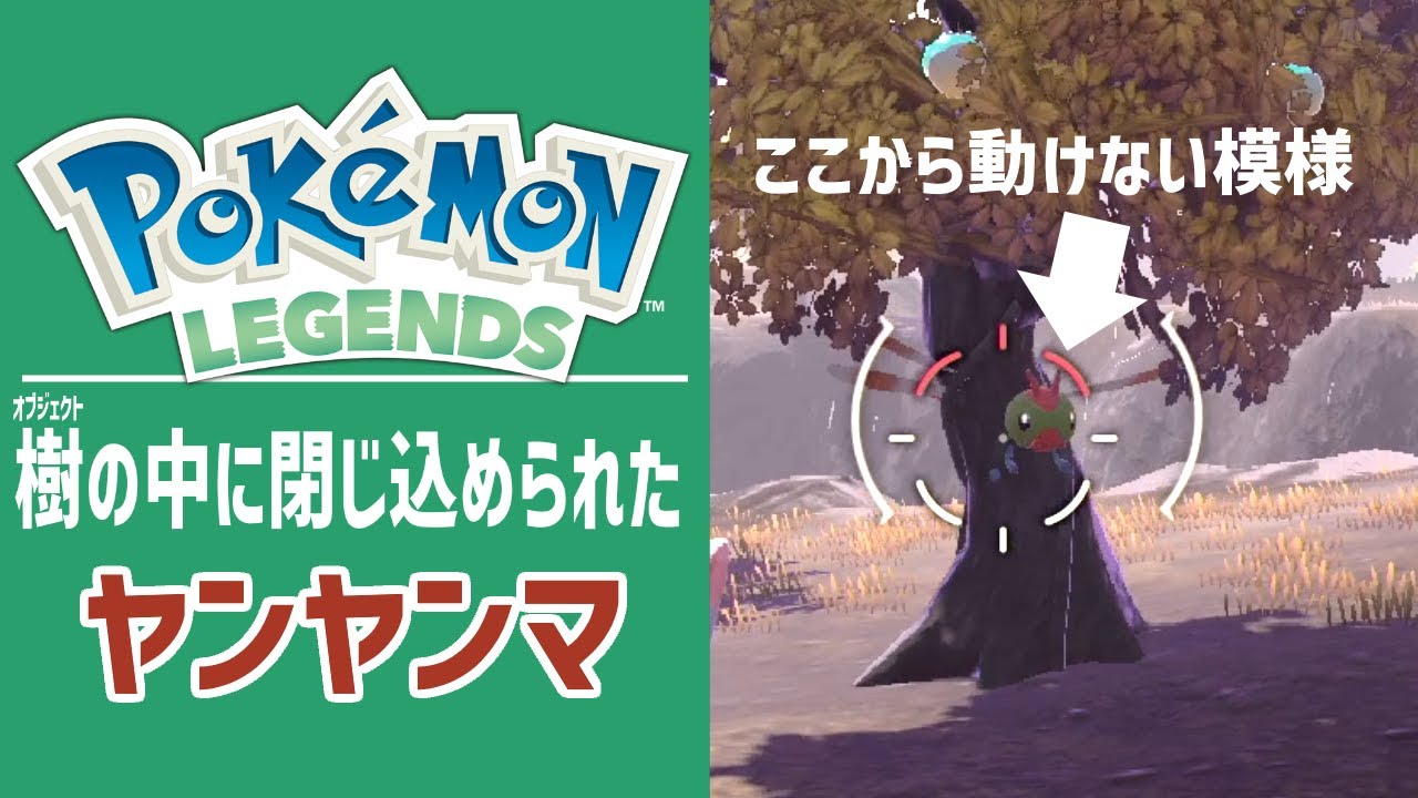 バグ？樹の中に閉じ込められたヤンヤンマ 🎮 Pokemon LEGENDS アルセウス