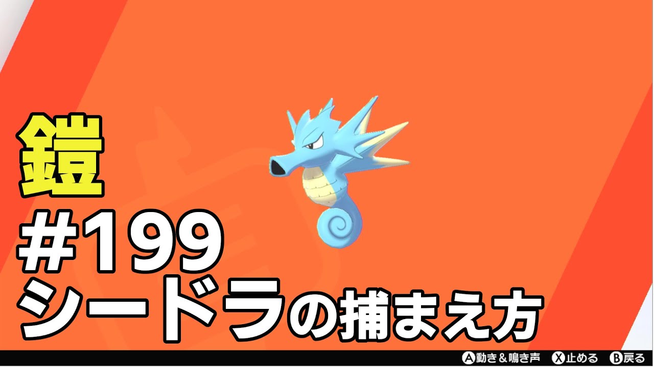 シードラを探している方に見てほしい動画