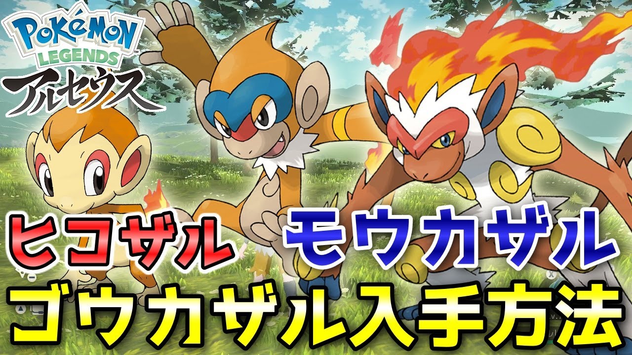 【アルセウス】ヒコザル・モウカザル・ゴウカザル入手方法！オヤブンは戦わずに捕獲します！【ポケモン レジェンズ】