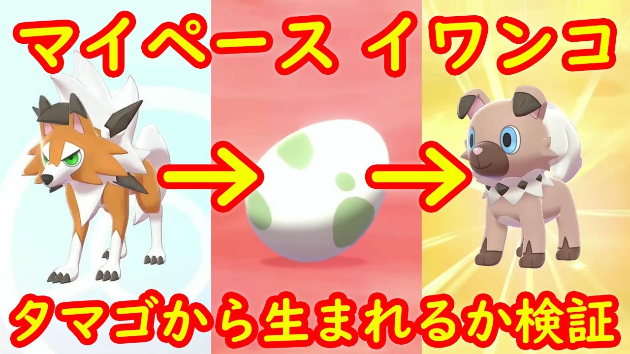 マイペース イワンコ タマゴから生まれるか検証【鎧の孤島 ポケモン剣盾DLC】