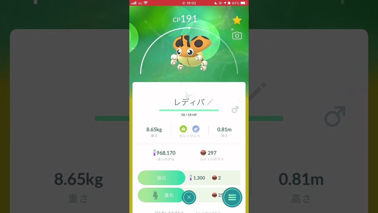 ［ポケモンGO］進化「レディバ→レディアン」