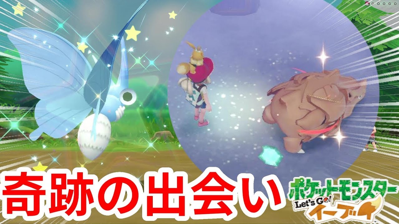 色サイホーンきたー！！色違いモルフォンの追撃！【ポケモンLet'sGO！イーブイ】