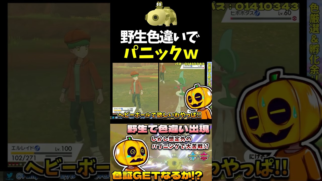 【ポケモン剣盾】野生色違い出現でパニック!? 想定外の動きをしまくるヒポポタスを捕獲できるのか…!?【色違い厳選】【色違いポケモン】【色証】【ヒポポタス】【ポケモン】【ソードシールド】#shorts