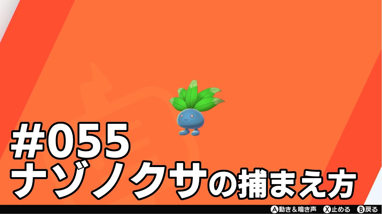 ナゾノクサを探している方に見てほしい動画