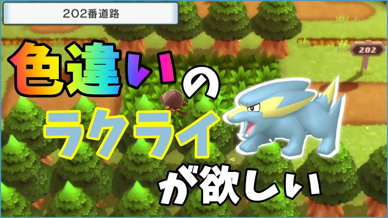 【ポケモンダイパリメイク】色違いラクライをお迎えに行く【ポケモンBDSP】