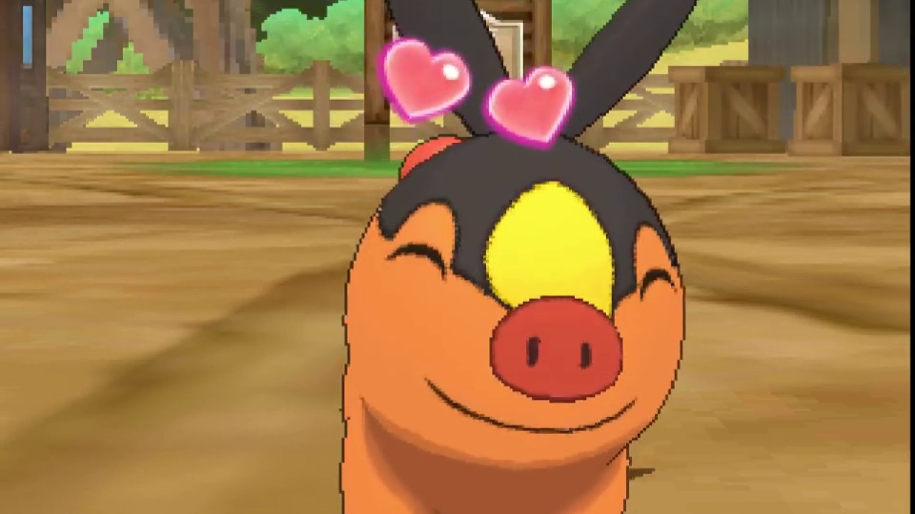 ポケリフレ　ポカブと戯れるだけの動画