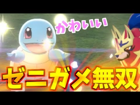 何故か禁止伝説を起点に無双３タテしてしまった「ゼニガメ」が最高に可愛い【ポケモン剣盾】