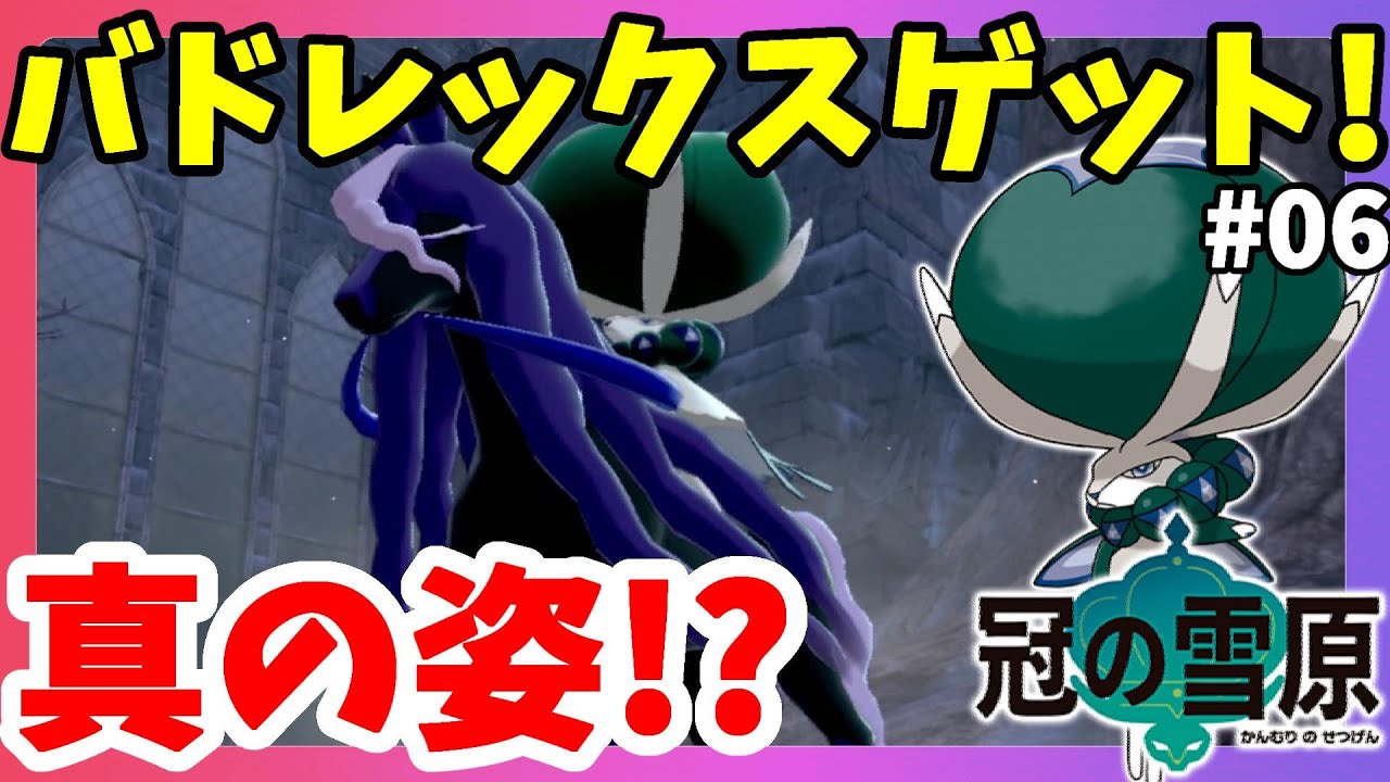 【ポケモンソードシールド】バドレックスの真の姿！伝説ポケモンついにゲット！#06冠の雪原【エキスパンションパス】