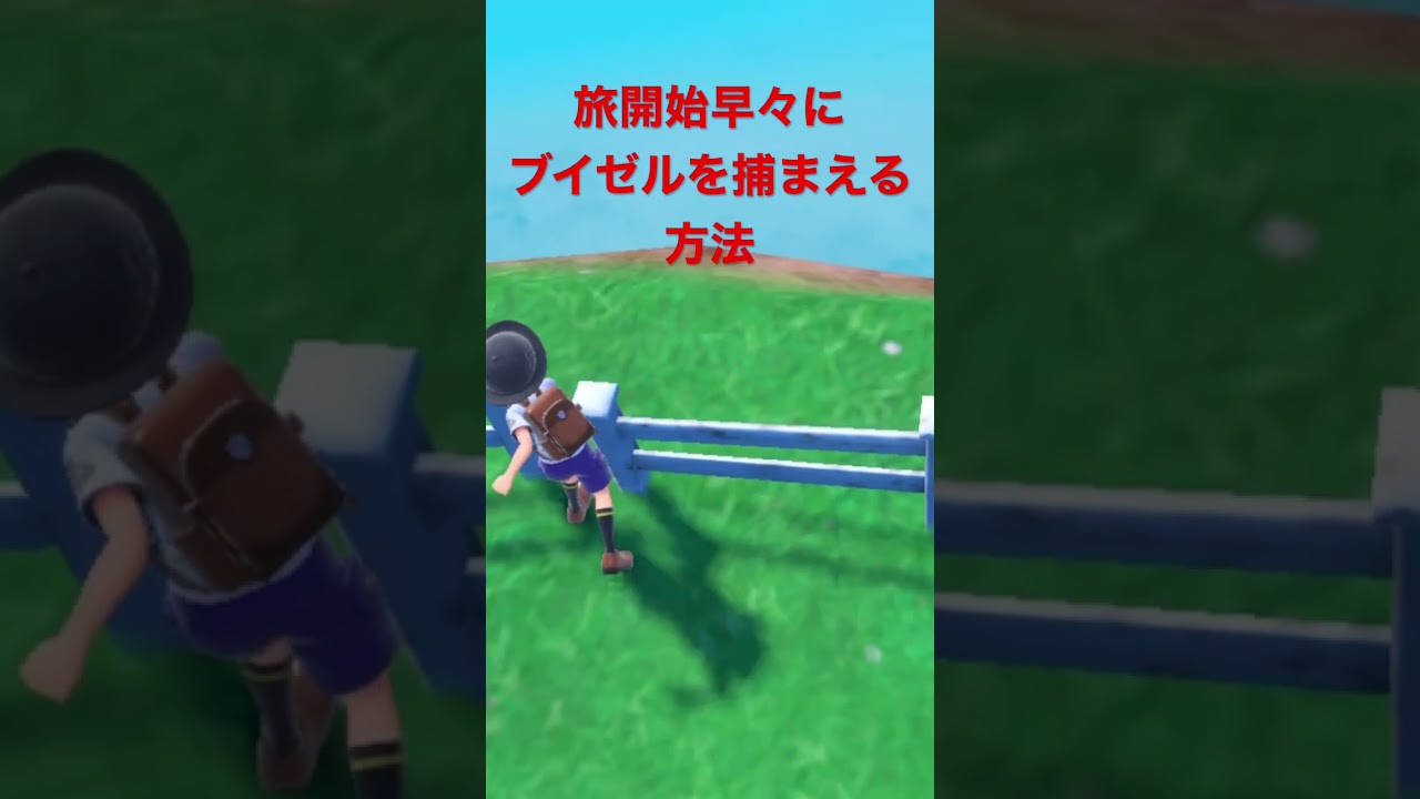 旅開始早々にブイゼルを捕まえる方法 ※コイキング、キャモメ、サシカマスも可 #スカーレットバイオレット #ポケモン #ポケモンSV