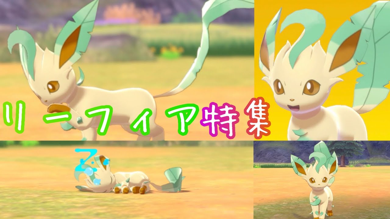 【ポケモンキャンプ#25】可愛い &カッコいいリーフィア特集♡