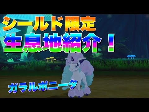 ガラルポニータの生息地紹介　【ポケモンソードシールド】