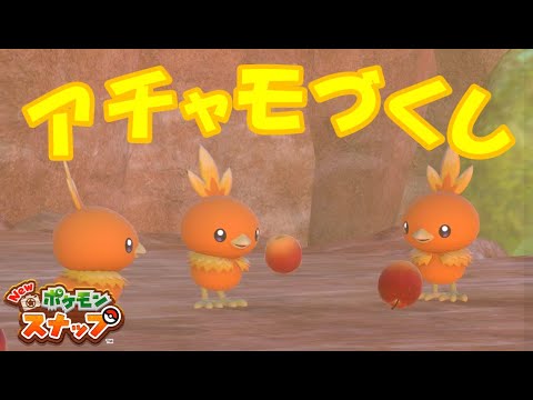 カラリ荒野にはアチャモがいっぱい【Newポケモンスナップ/ゆっくり実況】
