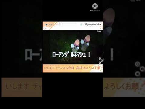 【ポケスナ】ﾈﾏｼｭを見つけて発狂する女