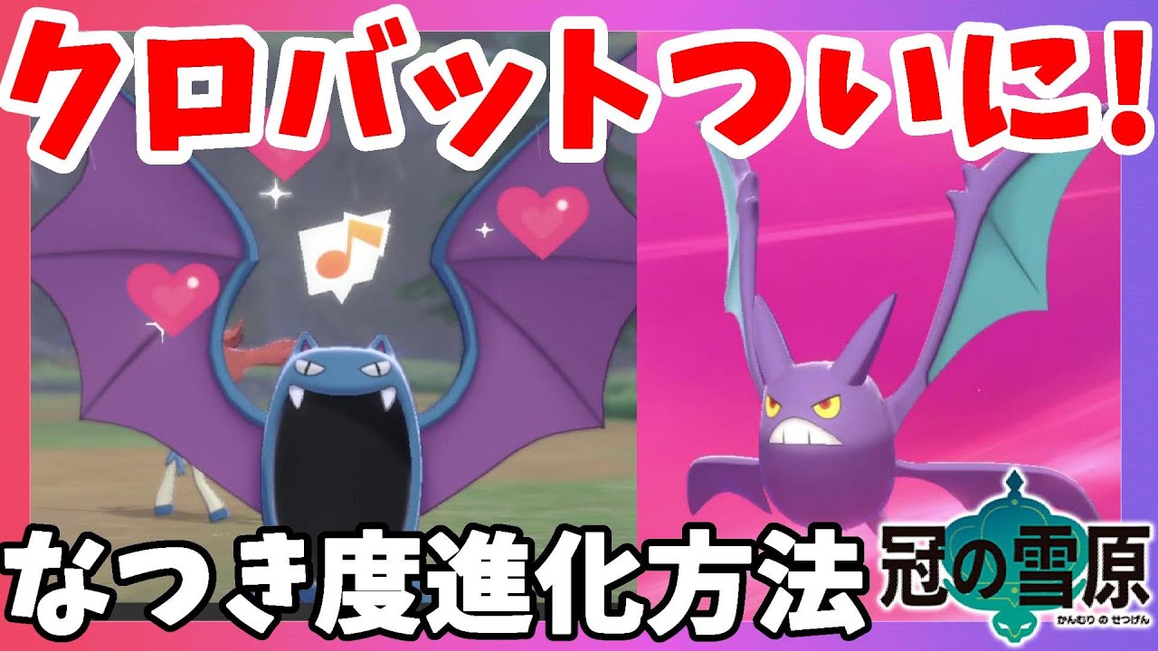 【ポケモンソードシールド】クロバットはなつき度進化！効率的になつき度進化！アメは使わない方法で図鑑ゲット【冠の雪原エキスパンションパス】