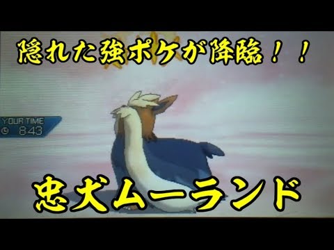 ムーランドが最高に頼れる名犬だったらしい【ポケモンUSUM/ウルトラサン・ウルトラムーン】