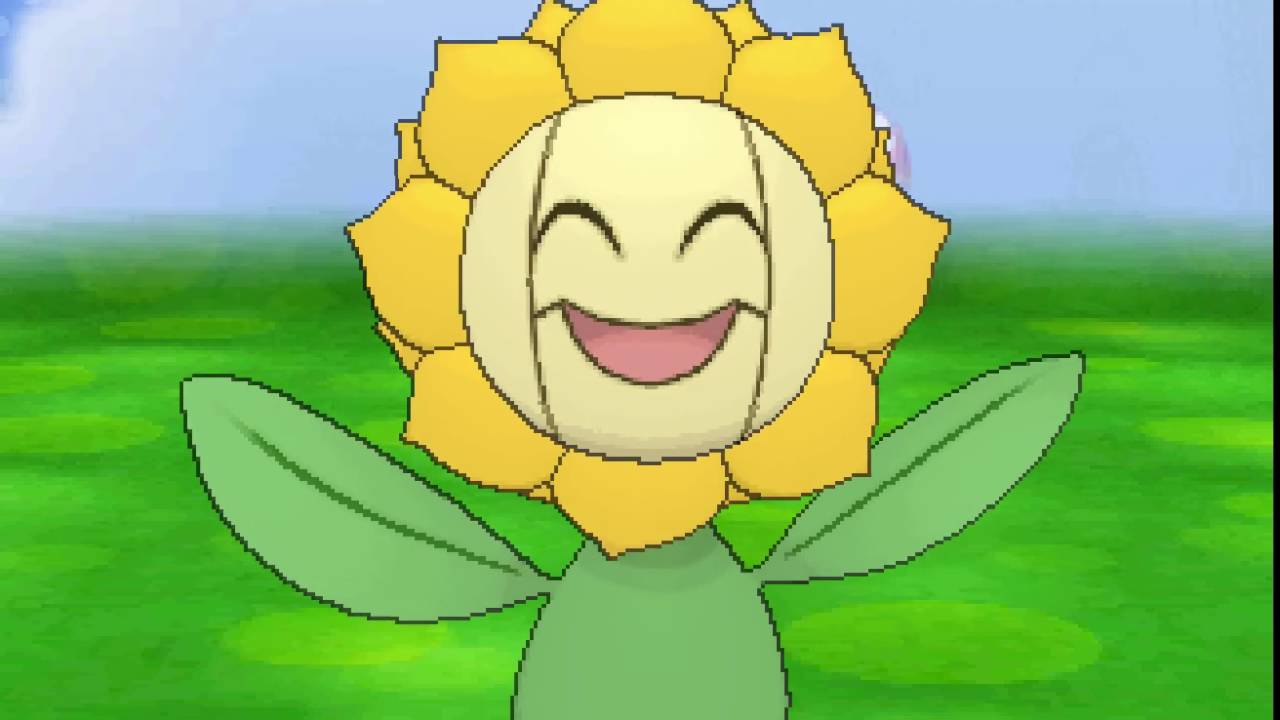 ポケパルレ　キマワリと戯れるだけの動画